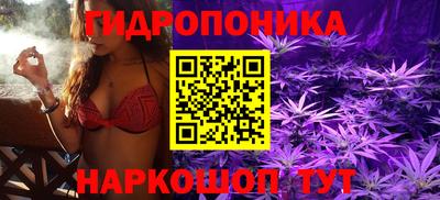 крисы Ливны