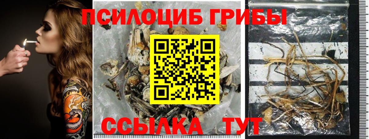 Псилоцибиновые грибы Cubensis Шатура