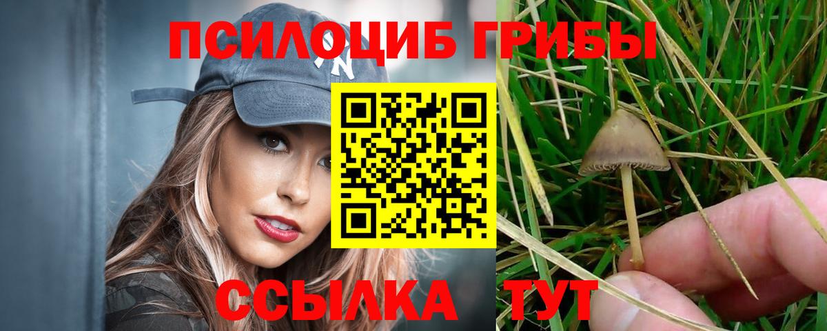 Галлюциногенные грибы мухоморы  Галлюциногенные грибы MAGIC MUSHROOMS  Шатура  Вход с VPN 